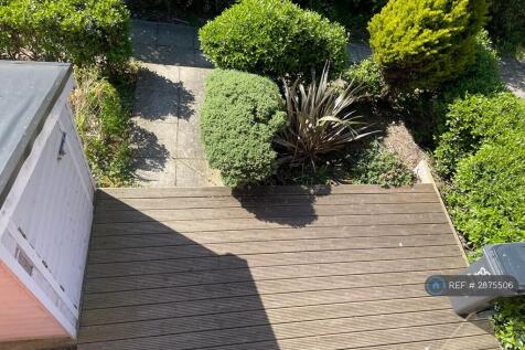 Front Garden &amp; Shed