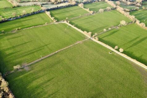dji_fly_20260318_174648_341_1773856340820_photo_op