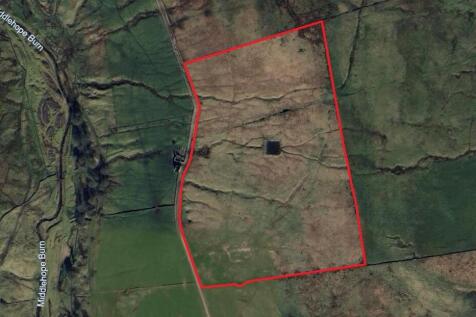 Lot 1