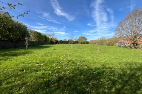 the site