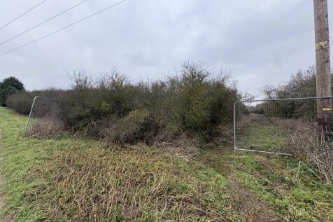 1  Medium  T202602021050.jpg