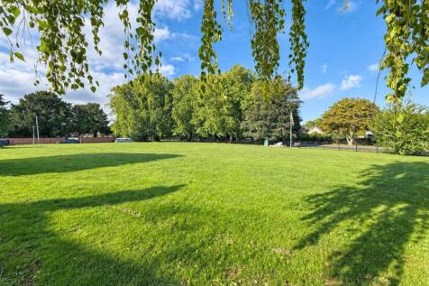 View over green.jpg