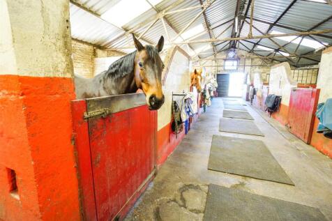 Stables