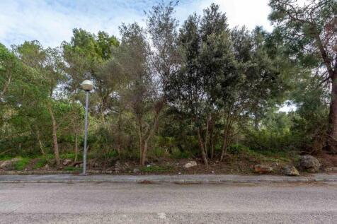 solars bonaire edita