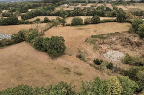 Fields to Front.JPEG