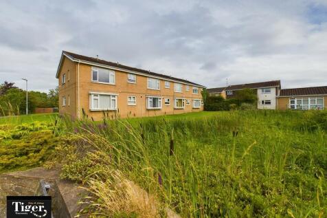 CAM03440G0-PR0124...