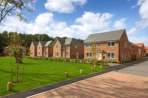 Romans Quarter SC Oct 2024