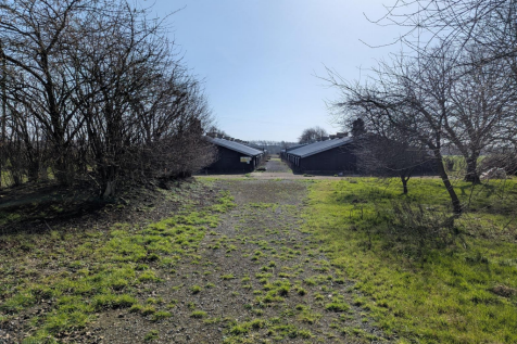 Photo 6.png