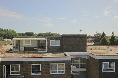 IMG_1504 (1)