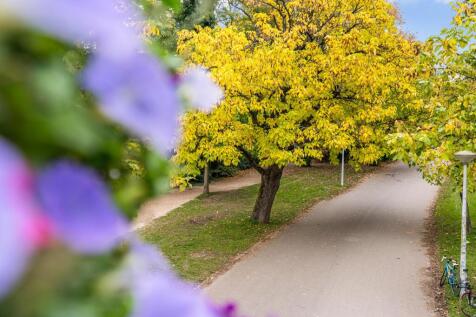 Vossiusstraat 44 2 1071 AJ AMSTERDAM image 77