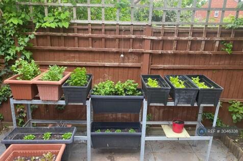 Herb's Garden