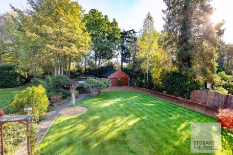 Elevated Rear Outlook