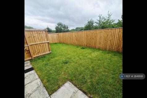Back Garden