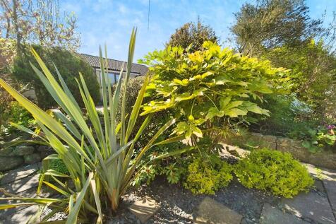 31d1a4e0-10000263...