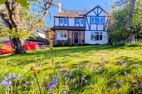 Property Image 47