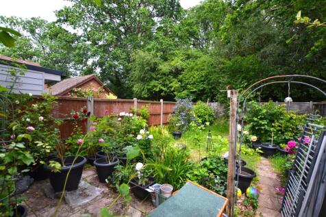 Garden 4 .JPG