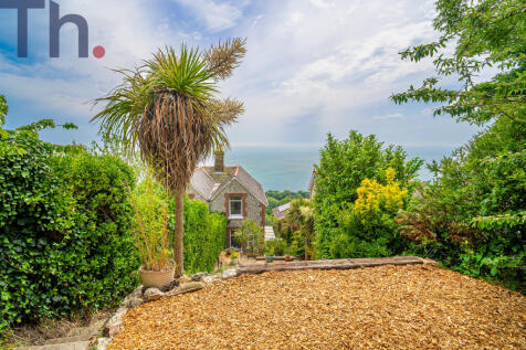 View from Top of Garden