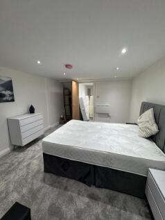 Bright modern bedroom with plush grey carpeting...