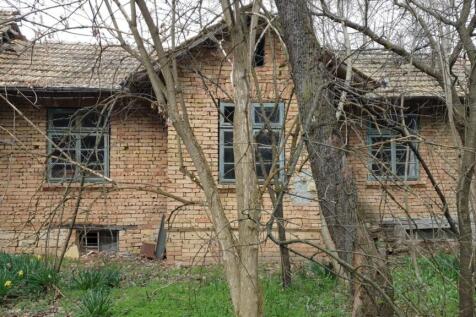 Front view of a two-storey brick house partially obscured by bare trees