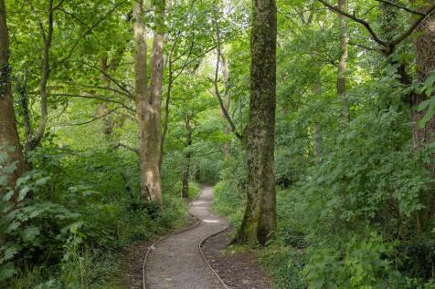 Withnell Fold Woods