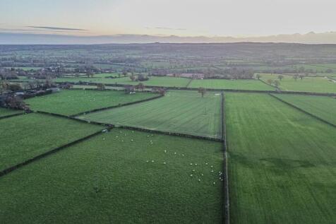 Aerial Shot