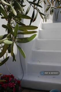 Top Terrace