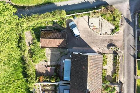 Birds Eye