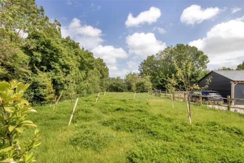 Orchard Area