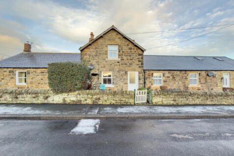 IMG 0397 2 T202601141910.jpg