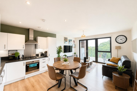 Open Plan Kitchen/ Reception Room