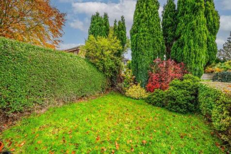 Ormskirk Road Rear Garden