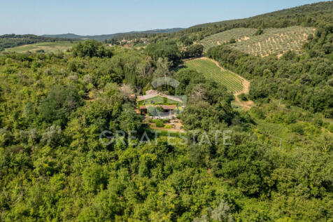 Panorama e Particolari