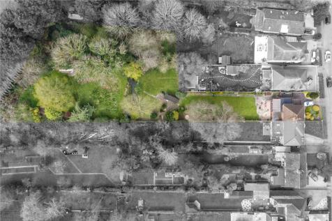 Birds Eye