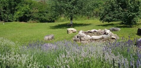 Stone fire pit encircled by blooming lavender plants and garden greenery in a sunny outdoor space.