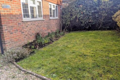 Side Garden