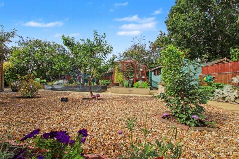 Vegetable Garden.JPG
