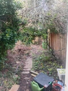 southey road garden.jpeg