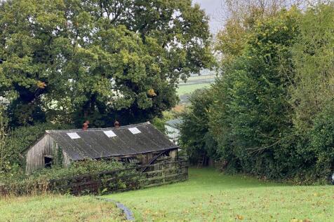 The Old Chicken Coop