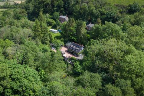 DJI_20260529113046_0012_D.jpg