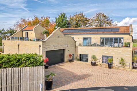 Welcome to Treetops...