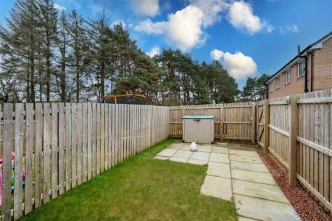 Backyard2.jpg