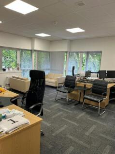 Birchwood Boulevard Couches.jpg