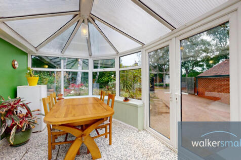 4-Sandy-Walk-08132025_174710