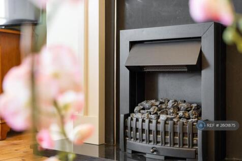 Electric Fireplace In Lounge