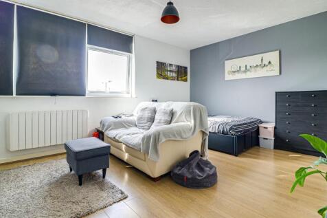 Living Area/Bedroom Area