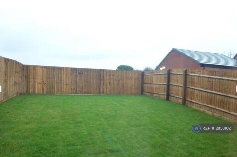 Back Garden
