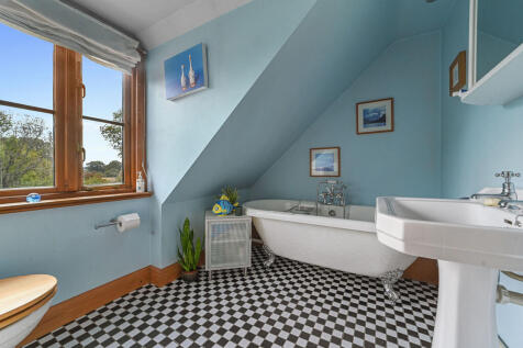 PT-FC(COL)-TheBir...