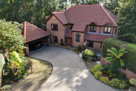 Property Image 43