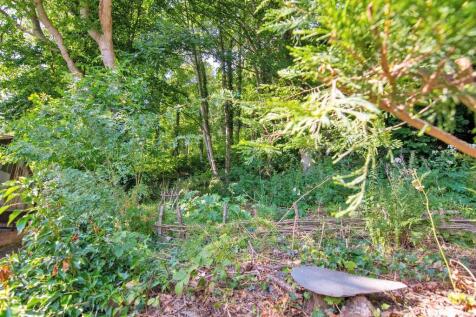 Woodland