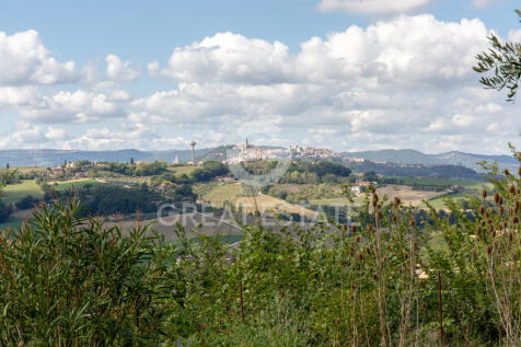 Panorama e Particolari